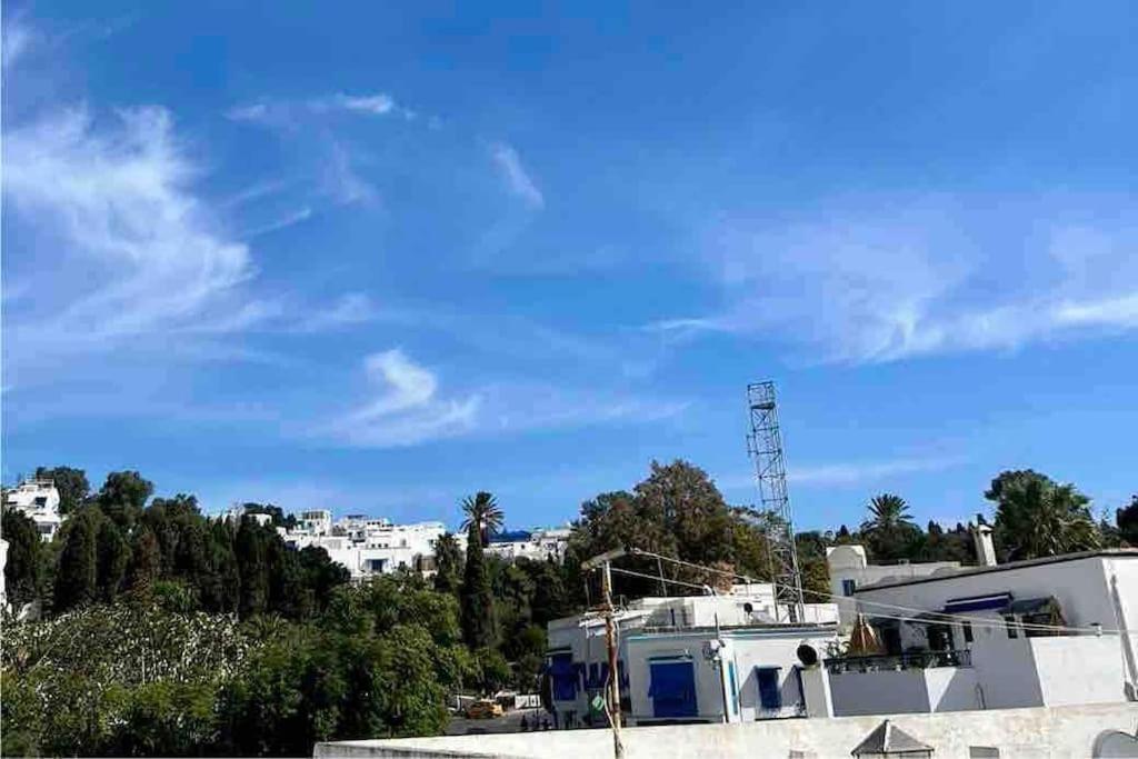 Sidi Bou Said - Nice House With Breathtaking View Екстериор снимка